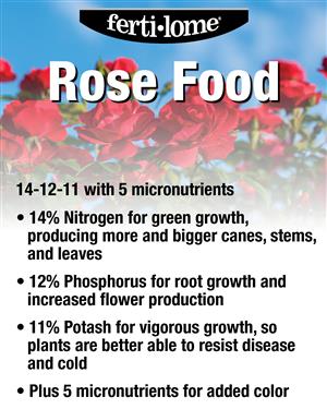 13830 Rose Food 72 dpi USE image 01